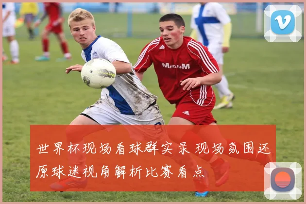 世界杯现场看球群实录 现场氛围还原球迷视角解析比赛看点