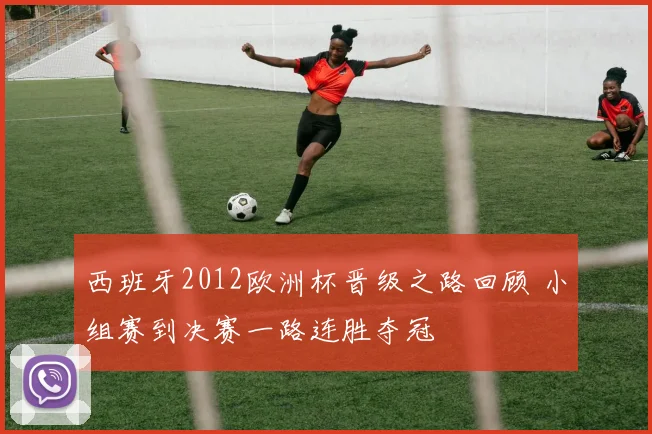 西班牙2012欧洲杯晋级之路回顾 小组赛到决赛一路连胜夺冠
