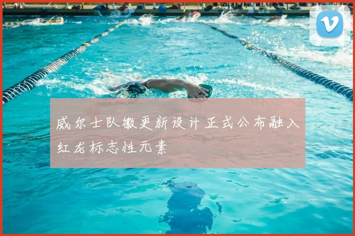 威尔士队徽更新设计正式公布融入红龙标志性元素