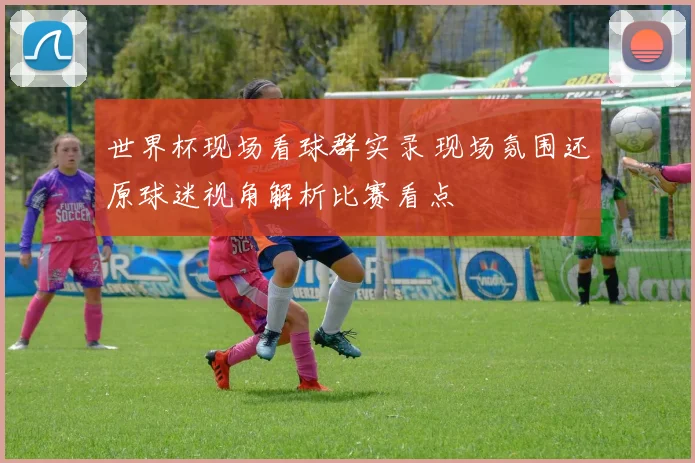 世界杯现场看球群实录 现场氛围还原球迷视角解析比赛看点