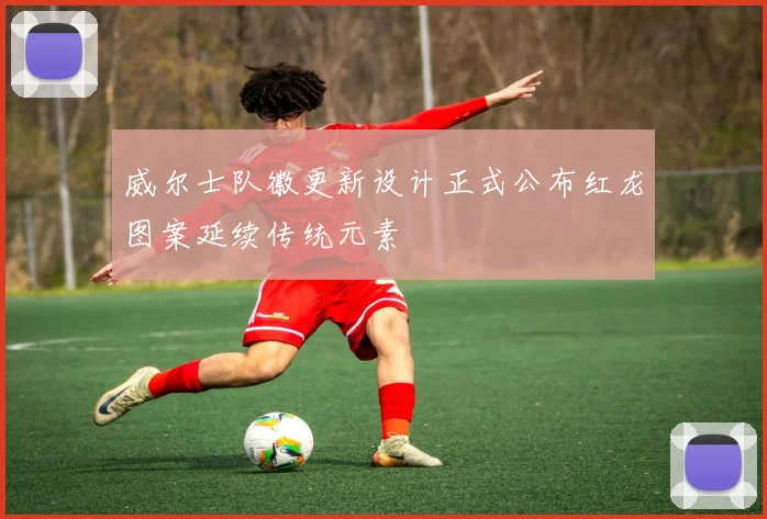 威尔士队徽更新设计正式公布红龙图案延续传统元素