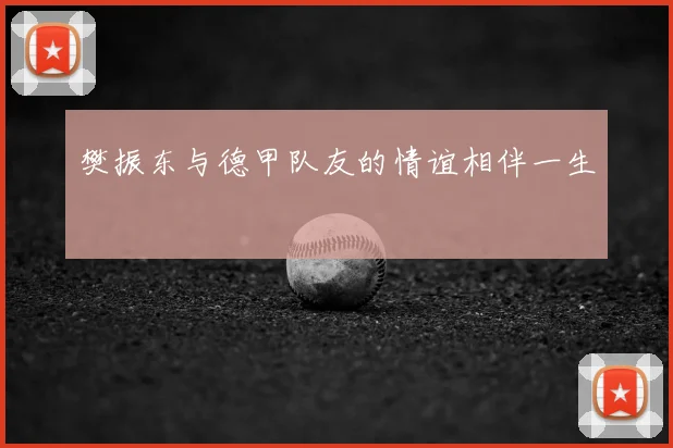 樊振东与德甲队友的情谊相伴一生