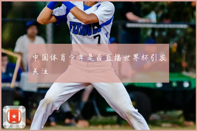 中国体育今年是否直播世界杯引发关注
